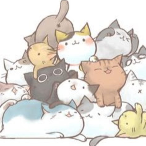 Meet your Posher, Maggie - Picture 1 of 1